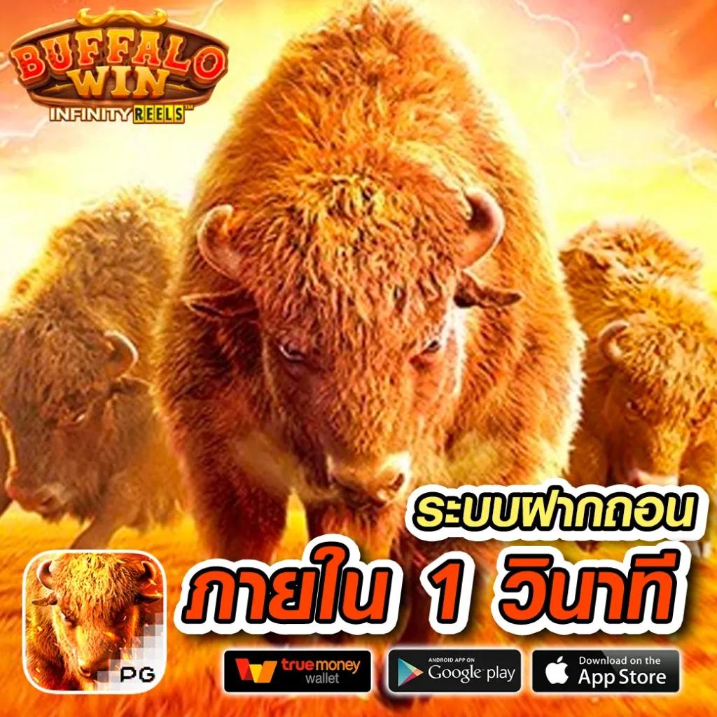 ดูบอล 7m คาสิโนอันดับหนึ่ง เกมดีครบวงจร ฝากถอนรวดเร็ว
